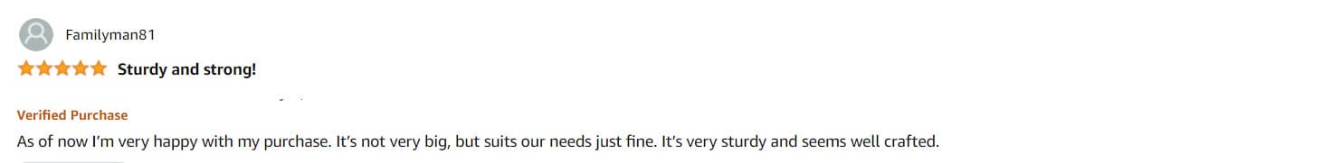 Customer review 3