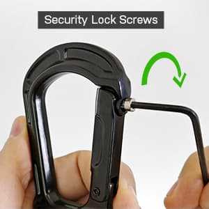 DOUBLE SECURITY