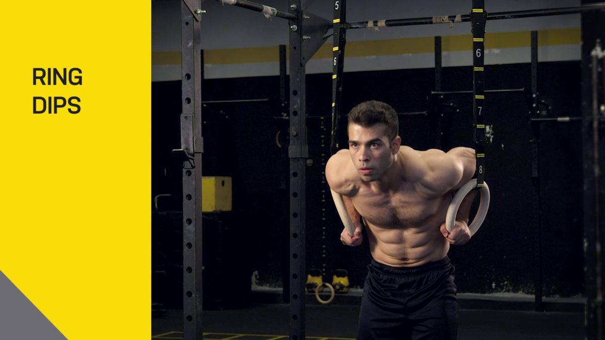 Exercise 5 : Ring Dips